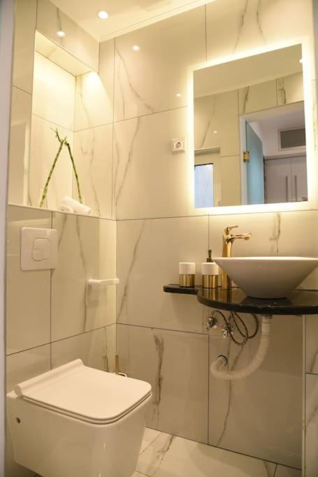 Syntagma Square, 30Sqm Nikis Luxurious Studio 雅典 外观 照片
